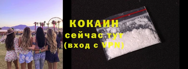 молекула духа Покров