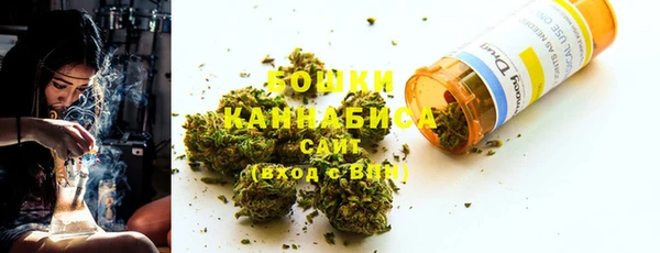 амф Пересвет