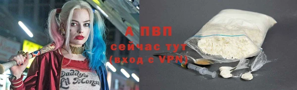 амф Пересвет