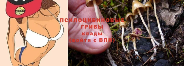 ГАЛЛЮЦИНОГЕННЫЕ ГРИБЫ Пестово