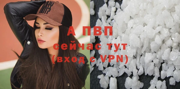 амф Пересвет