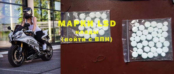 ГАЛЛЮЦИНОГЕННЫЕ ГРИБЫ Пестово