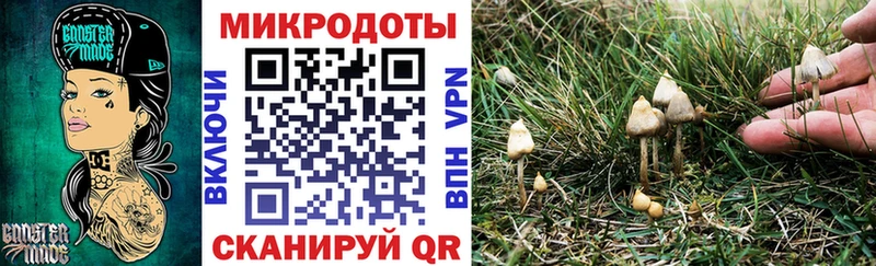 купить  сайты  Андреаполь  Псилоцибиновые грибы GOLDEN TEACHER 